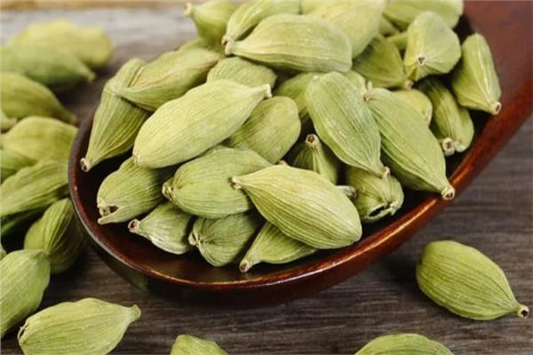 فوائد الهيل الهندي وأهم استخداماته فوائد الهيل الهندي وأهم استخداماته