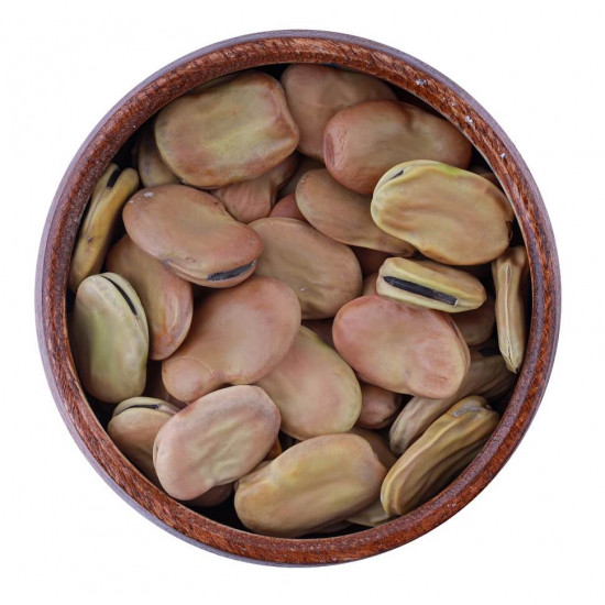 فول كبير الحبة فول كبير الحبة