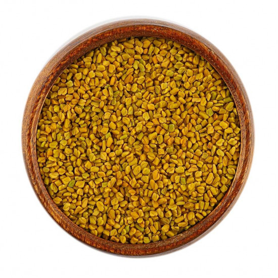 حلبة المدينة المنورة العضوية حلبة المدينة المنورة العضوية