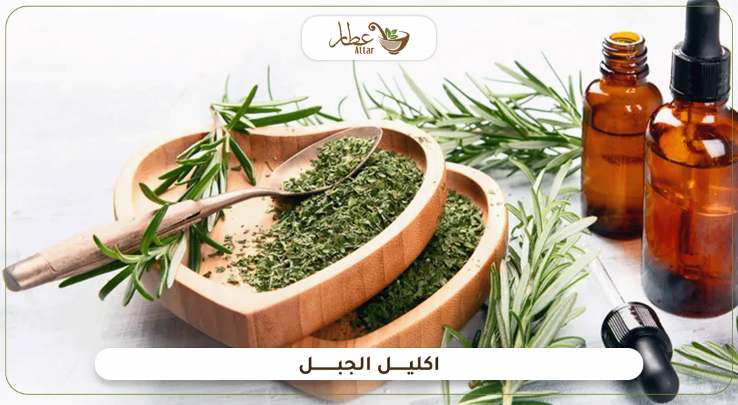 فوائد اكليل الجبل التي يجب أن تعرفها فوائد اكليل الجبل التي يجب أن تعرفها