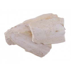 لسان البحر لسان البحر