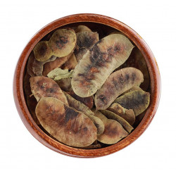 ثمار سنامكي أو عشرق