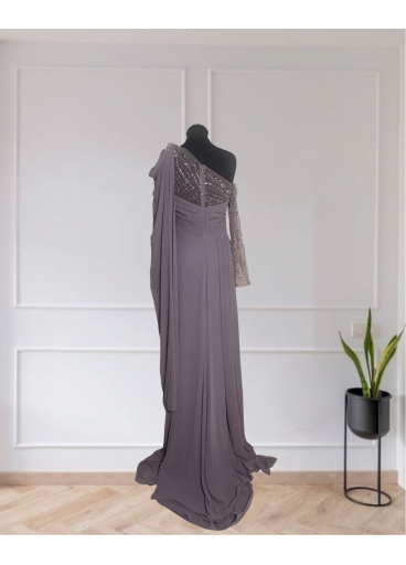 Shiffon Embellished Gown