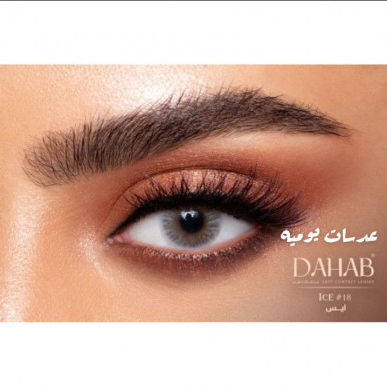 عدسات  يومية الذهب 