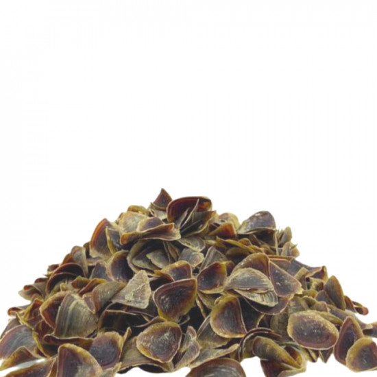 ظفره قشور