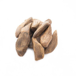 عود صناعي ارياني لورين BW – اوقية