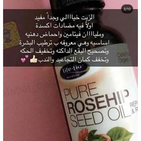 زيت بذور ثمار الورد العضوي النقي - لايف فلو