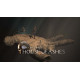 لعبة - dark pictures house of ashes - بلايستيشن 4 لعبة - dark pictures house of ashes - بلايستيشن 4