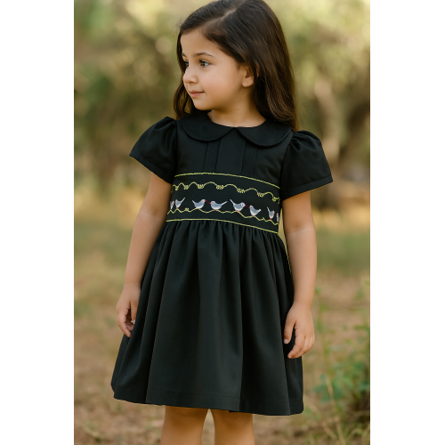 فستان أسود بتطريز طيور240504 فستان أسود بتطريز طيور240504