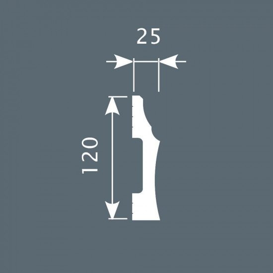 باخميس سكلو ديكور 120مم×25مم×2متر روسي P009