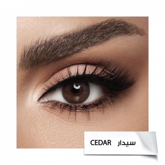 عدسات ملونة من ديفا - سيدار