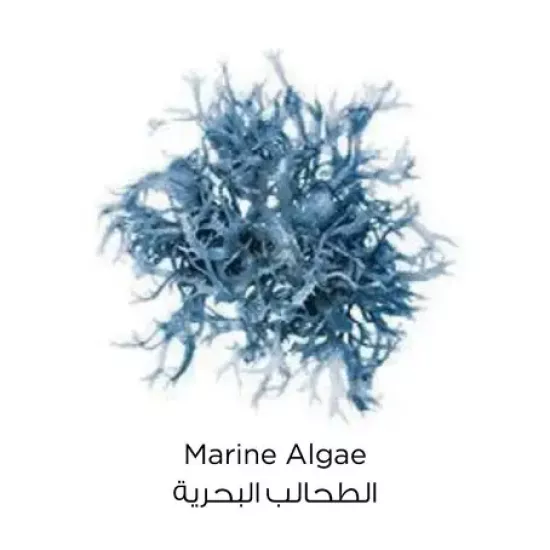 قناع الطين النقي بليمش ريسكيو ماسك من لوريال - 50 مل قناع الطين النقي بليمش ريسكيو ماسك من لوريال - 50 مل
