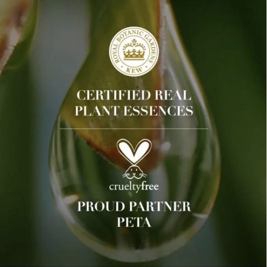 بلسم الشعر بجوز الهند من هيربل ايسنسس - ٤٠٠ مل