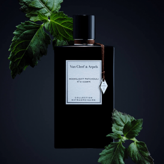 عطر مونلايت باتشولي من فان كليف اند اربلز - او دي بارفيوم 75مل عطر مونلايت باتشولي من فان كليف اند اربلز - او دي بارفيوم 75مل
