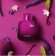 عطر ال .12.12 بور ايلي ماجنتك من لاكوست للنساء - او دو بارفيوم 80مل عطر ال .12.12 بور ايلي ماجنتك من لاكوست للنساء - او دو بارفيوم 80مل