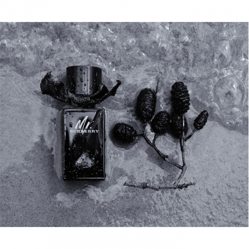 عطر مستر بيربري من بربري للرجال - او دي بارفيوم 100مل