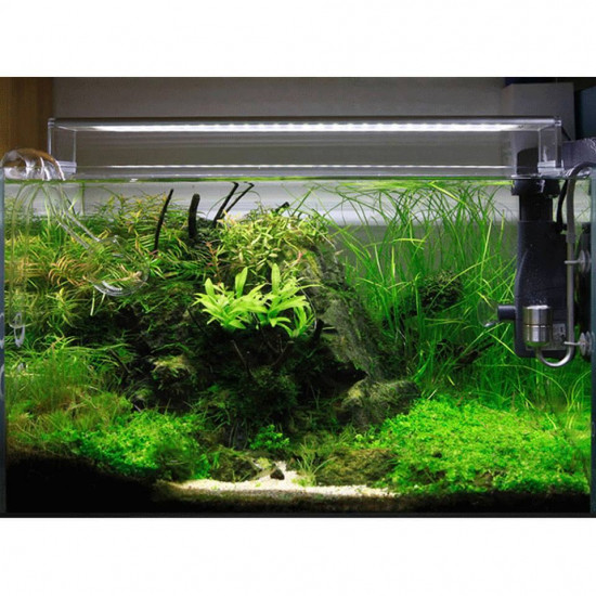 إضاءة LED مقاس 30سم - Doctor Chihiros
