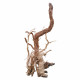 خشب من لنوع Azalea Wood حجم XXXL (معالج)