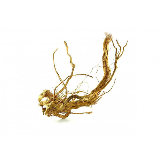 خشب من لنوع Azalea Wood حجم XXXL (معالج)