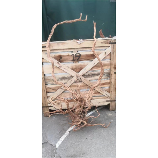 خشب من لنوع Azalea Wood حجم XXXL (معالج)