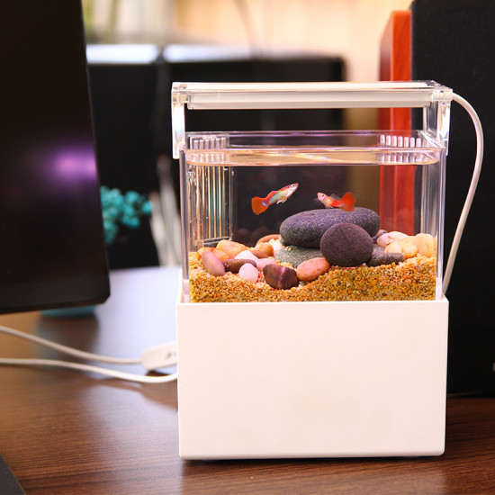 الحوض الكيوت المميز مع فلتر وإضاءة USB من شركة - QANVEE CUTE aquarium
