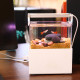 الحوض الكيوت المميز مع فلتر وإضاءة USB من شركة - QANVEE CUTE aquarium