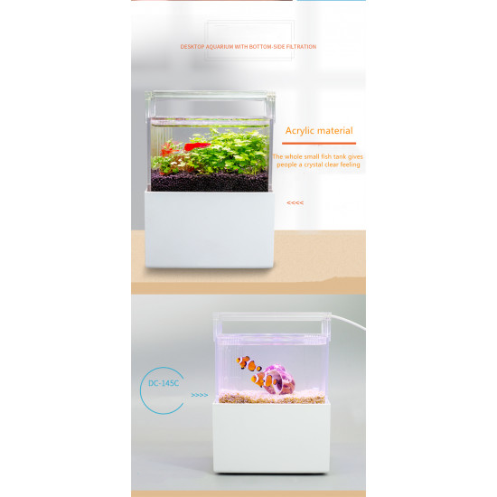 الحوض الكيوت المميز مع فلتر وإضاءة USB من شركة - QANVEE CUTE aquarium