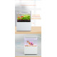 الحوض الكيوت المميز مع فلتر وإضاءة USB من شركة - QANVEE CUTE aquarium