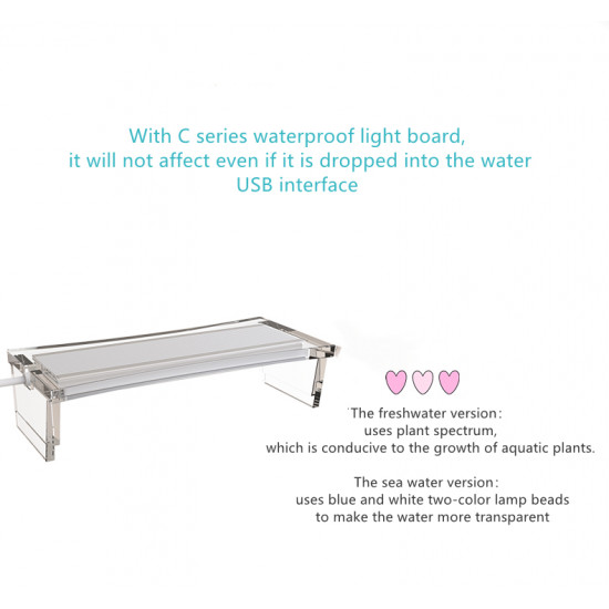 الحوض الكيوت المميز مع فلتر وإضاءة USB من شركة - QANVEE CUTE aquarium