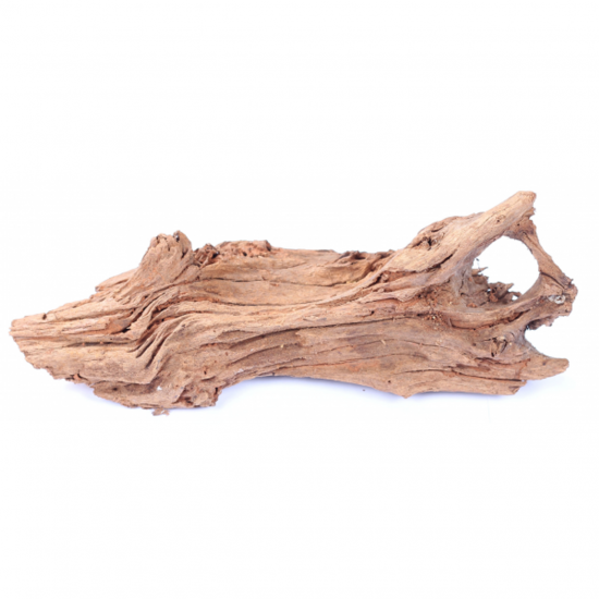 خشب الحظ المميز باللون الخشبي الفاتح - Lucky Wood Stump