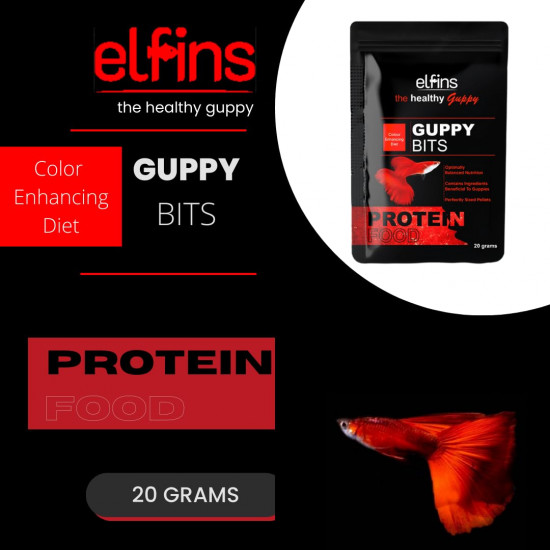 غذاء أسماك الجوبي والأسماك الإستوائية 20 جرام - elfins Guppy Bits