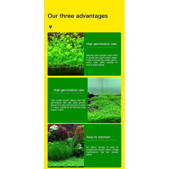 دكتور تانك تربة سماد 2 لتر عادي - DR:Tank normal Soil 2L