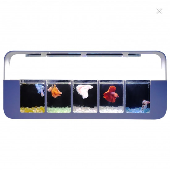 نظام متكامل لمحبي تربية البيتا - DOUYU Betta aquarium