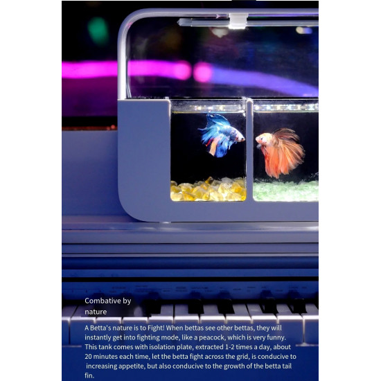 نظام متكامل لمحبي تربية البيتا - DOUYU Betta aquarium