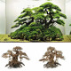 خشب من النوع Bonsai wood مقاس XXL