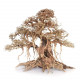 خشب من النوع Bonsai wood مقاس XXL
