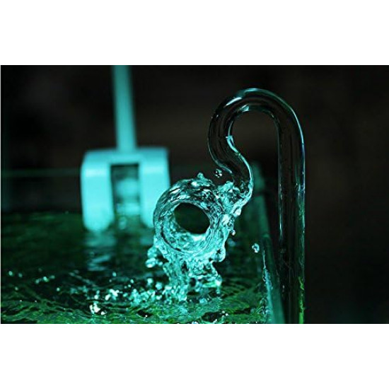 ليلي بايب من الزجاج عالي الجودة قطعتين برأس مدور ومفرغ  - Lily Pipe Glass 