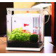 حوض كامل صغير مميز مع فلتر وإضاءة USB من شركة - QANVEE aquarium