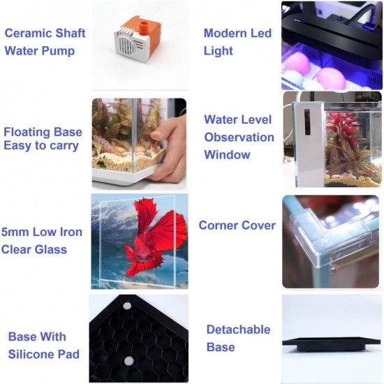 حوض أنيق صغير مميز مع فلتر وإضاءة بحرية من شركة - QANVEE aquarium