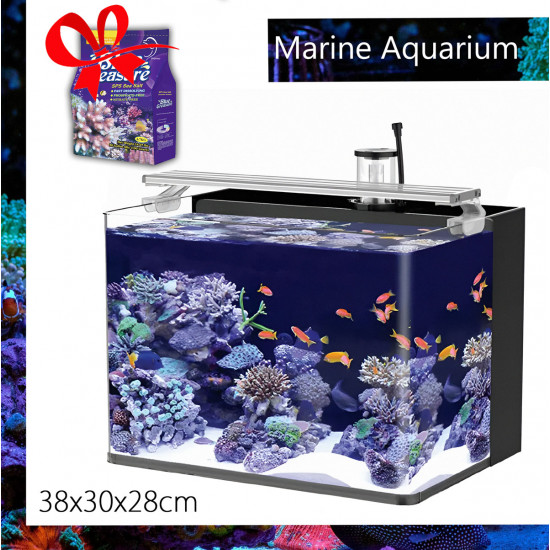 المجموعة الكاملة لحوض النيمو 38 سم - Nemo aquarium 38cm