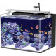 المجموعة الكاملة لحوض النيمو 38 سم - Nemo aquarium 38cm