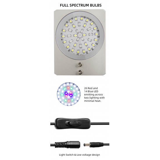 إضاءة LED WRGB مع قاعدة من الخشب - LED Light with WOOD Board