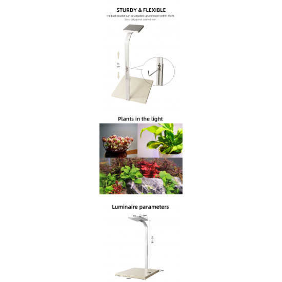 إضاءة LED WRGB مع قاعدة من الخشب - LED Light with WOOD Board