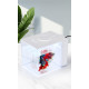حوض إكريلك كيوت لأسماك الفايتر مع الفلتر والإضاءة أبيض - MINI aquarium