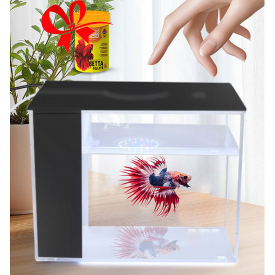 حوض إكريلك كيوت لأسماك الفايتر مع الفلتر والإضاءة أسود - MINI aquarium