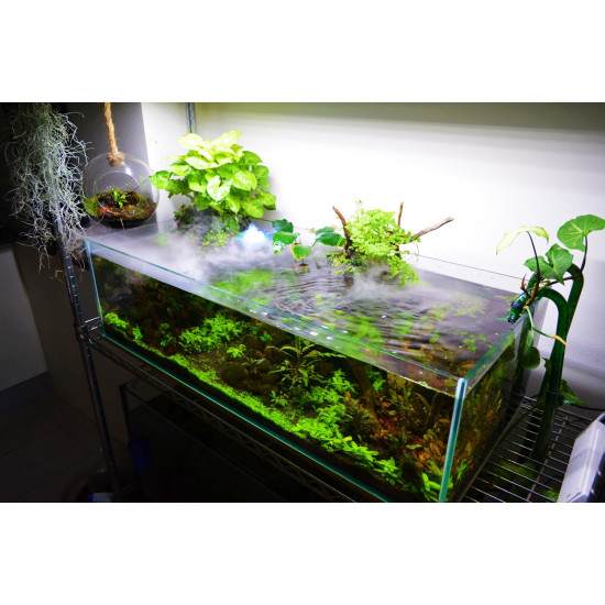 حوض زجاجي سوبر كلير حجم 120x45x20 سم - Shallow aquarium