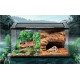 حوض زجاجي مع غطاء أسود لزواحف بحجم صغير ووسط - vivarium aquarium