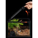 حوض زجاجي مع غطاء أسود لزواحف بحجم صغير ووسط - vivarium aquarium
