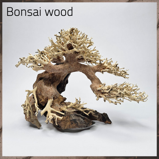 خشب من النوع Bonsai wood مجسم رقم 1 