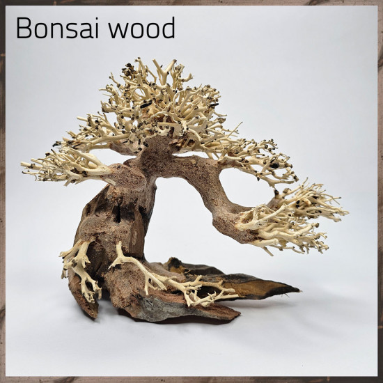خشب من النوع Bonsai wood مجسم رقم 4 